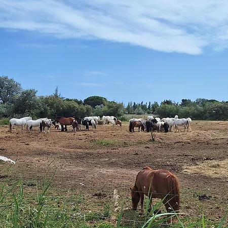 Parque de Campismo Hebergement Style Sérignan